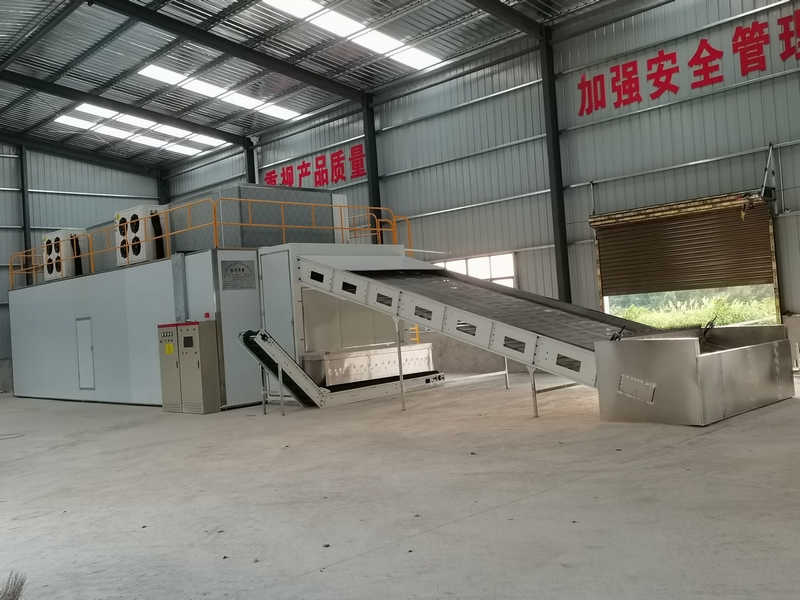 6层14间网带连续式