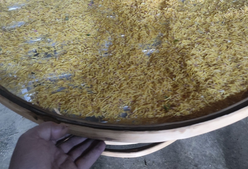 谯城牡丹深加工再提速！华剑15P空气能烘干机落地，节能锁香促产业升级