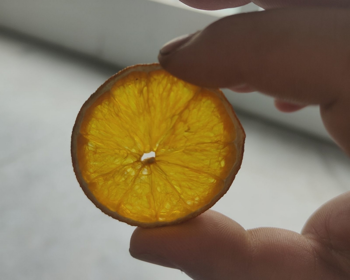中药材低温除湿烘干注意事项有哪些